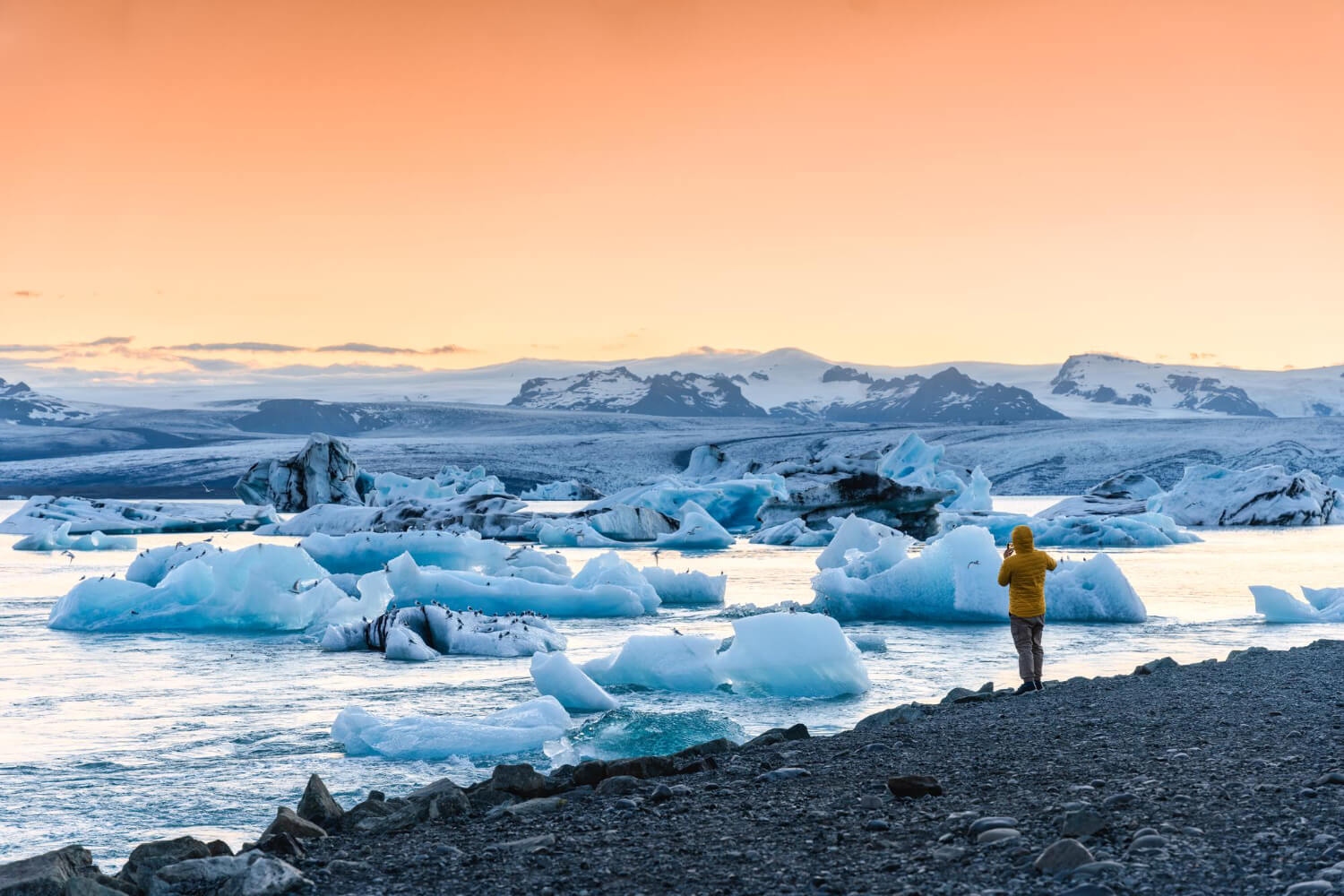 Understanding Cannabis Laws in Iceland: Current Status, Possibilities, and Guidance