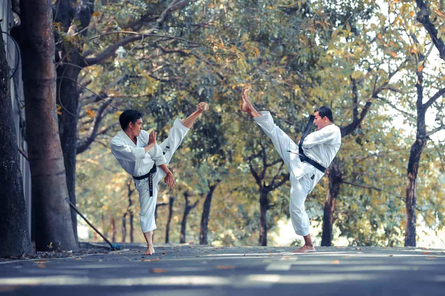 Effective Martial Arts for Self-Defense: A Comprehensive Guide
