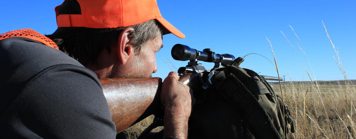 Hunting Firearm Selection: Legal Requirements and Considerations