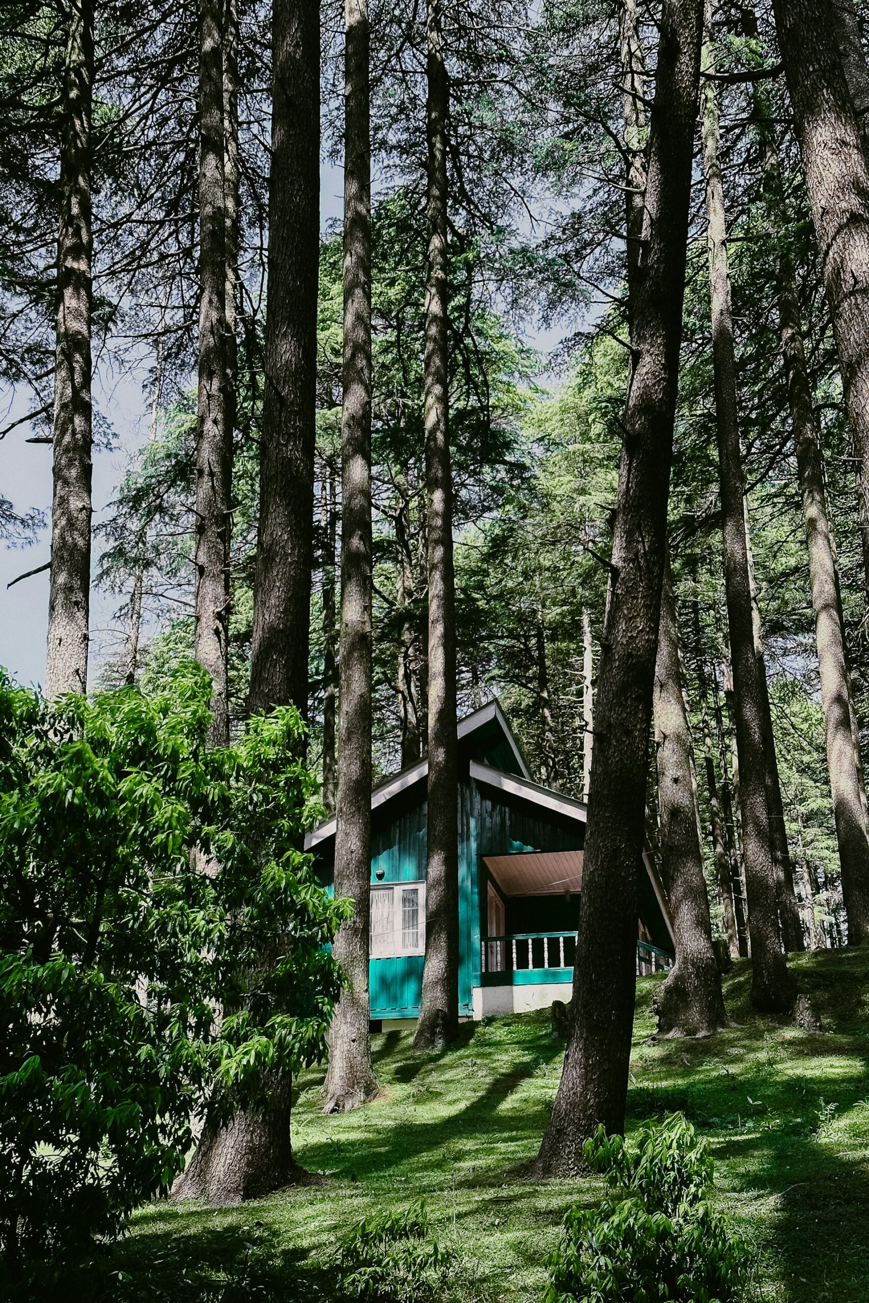 Discover the Tranquility of Tiny-House Forest Retreats: Your Guide to Sustainable Getaways
