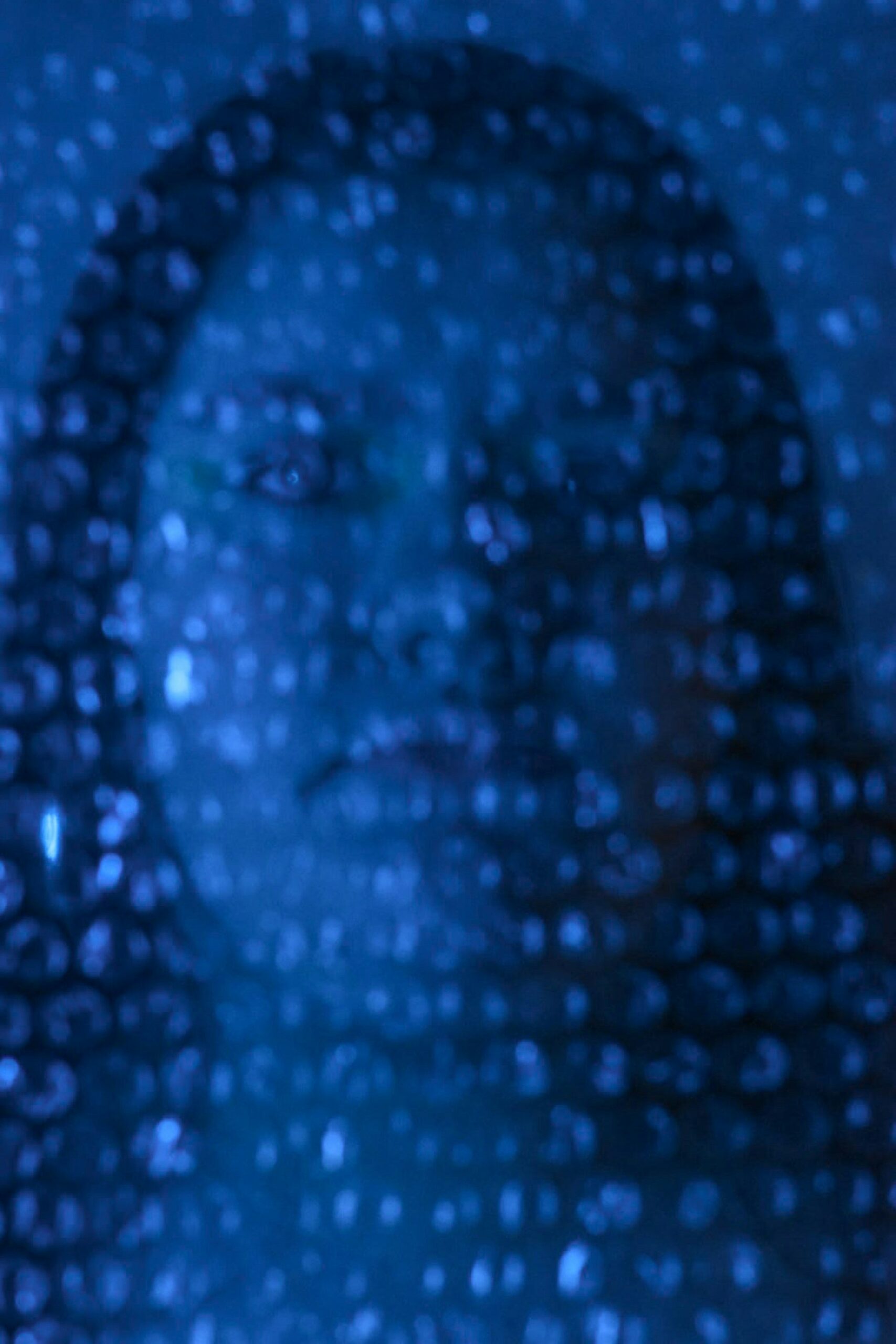 Biometric Authentication: Transforming Digital Security for Businesses and Users