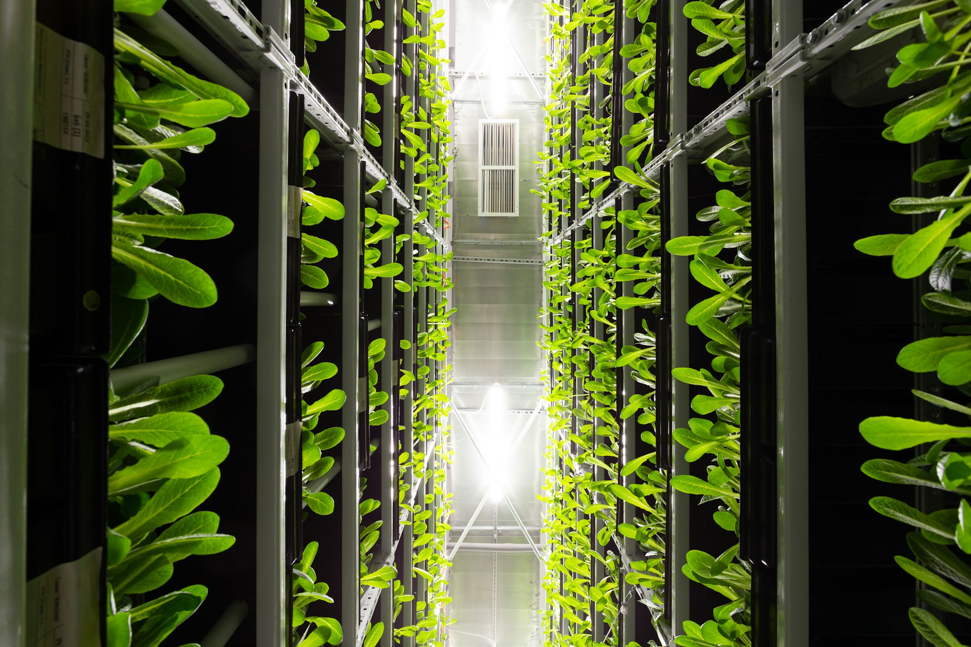 Driving Sustainable Innovation in Data Center Operations