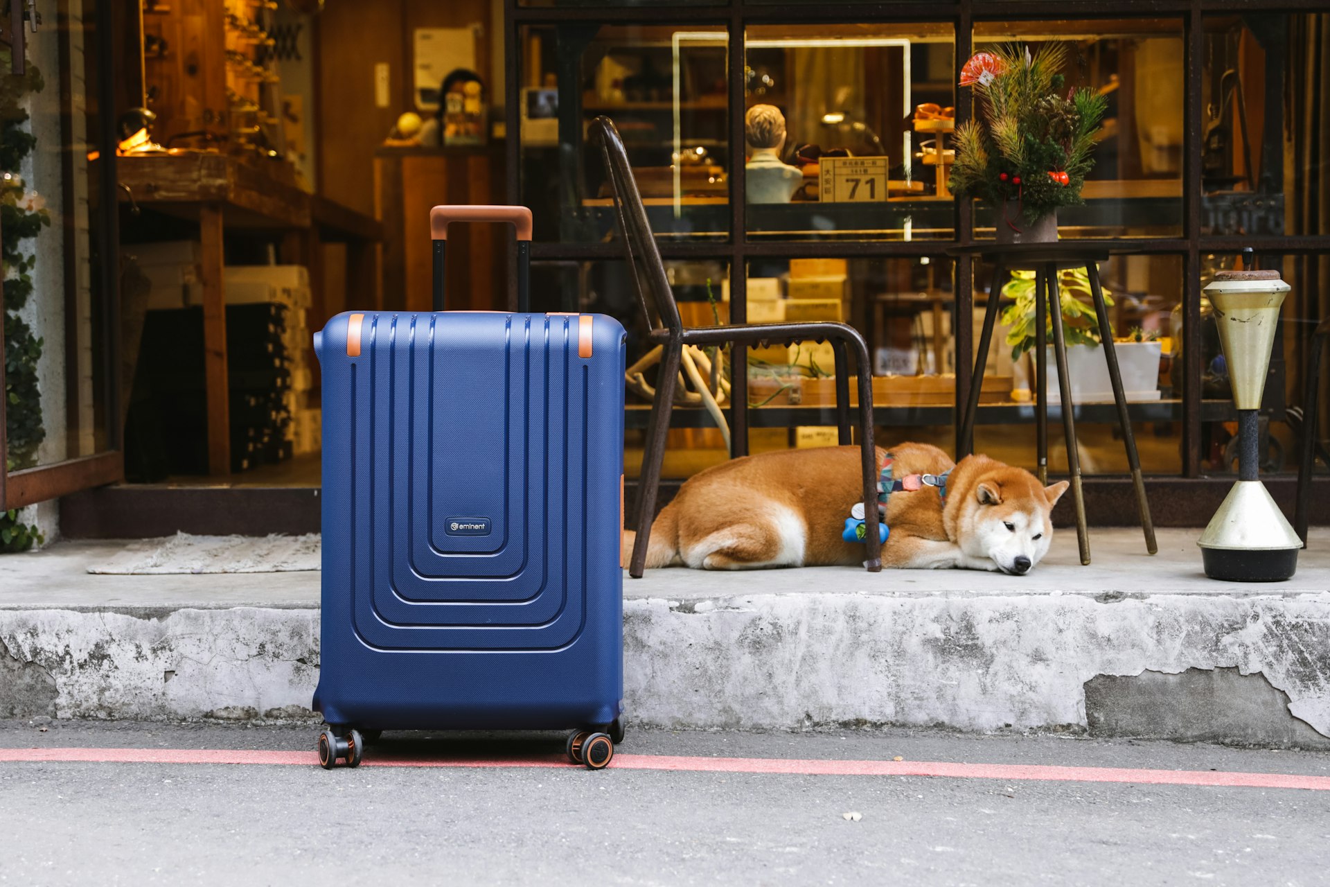 Explore America's Top Pet-Friendly Destinations: Your Guide to Traveling with Pets